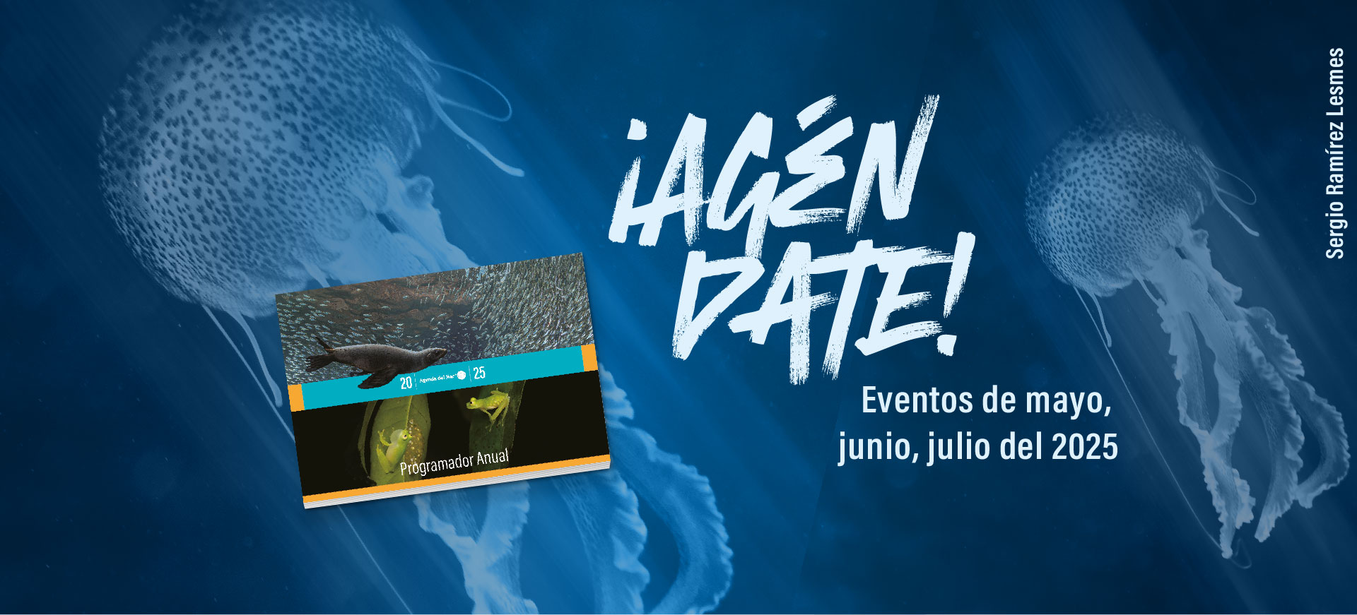 BANNERS AGENDATE_02