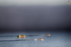 Mención especial: Día de pesca. Bernardo Hernández Sierra. Foto tomada en Ancud, Chile.