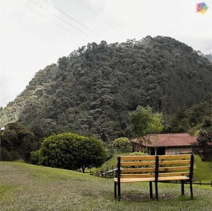 Mejor fotografía de Instagram elegida por el público: Silla. Federico Jaramillo. Medellín - Colombia.
