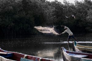 Mejor foto de Instagram (jurado): Sandra de Bedout. Nombre de la foto: Vida de pescador. Tomada en la Ciénaga de la Virgen, Cartagena, Colombia.