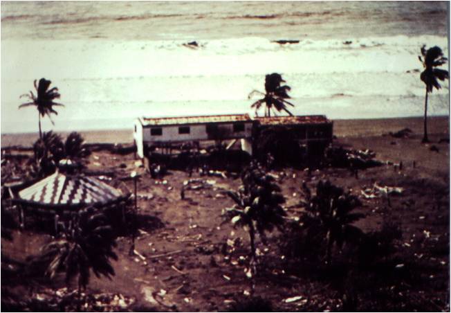 San Juan Costa, portada Herd et al, 1981