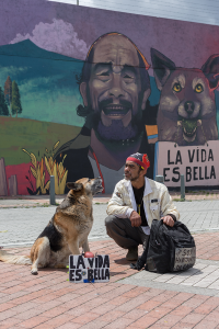 Mejor Mascotas: "Inseparable compañía" de Daniel Julián Vanegas Martínez, tomada en Bogotá - Colombia.