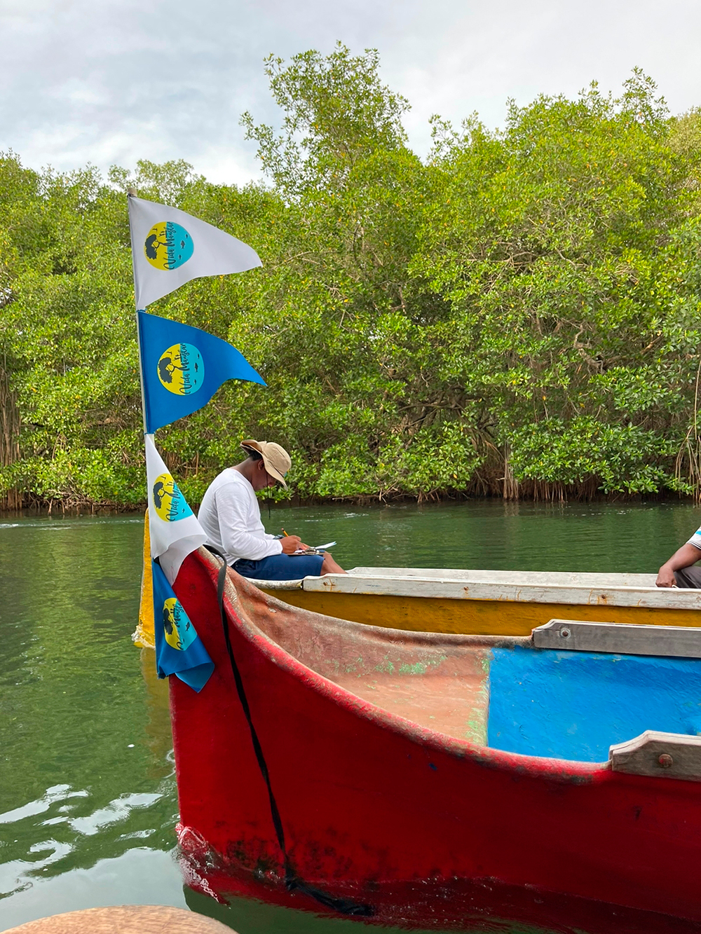 La Conservación Del Manglar Debe Ser Un Compromiso De Todos - Agenda ...