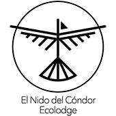 WEB-Logo-Condor-Definitivo-Sin-Fondo-cuadrado-(1)