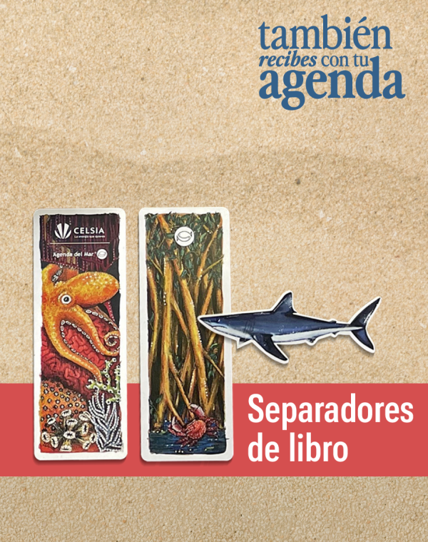 Screenshot 2025-12-17 at 4.43.42 PM Agenda del Mar 2026