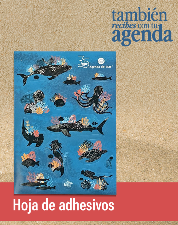 Screenshot 2025-12-17 at 4.43.57 PM Agenda del Mar 2026