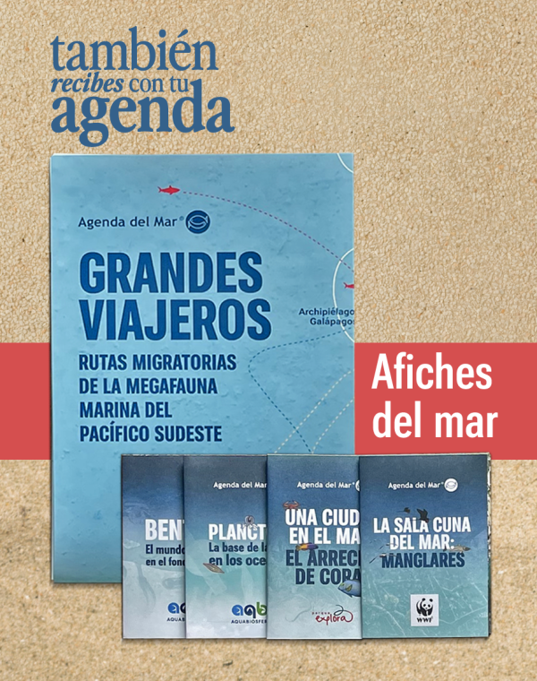 Screenshot 2025-12-17 at 4.44.21 PM Agenda del Mar 2026