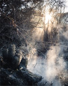 Ganador Denuncia Ambiental 2 - Jonathan Layton Avila