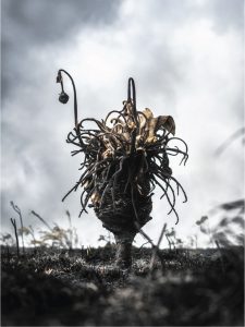 Ganador Denuncia Ambiental 4 - Jonathan Layton Avila