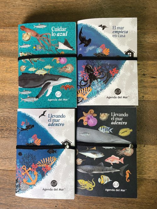 libretasZ4 Libretas en Z