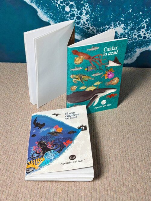 Kit de 2 libretas en Z