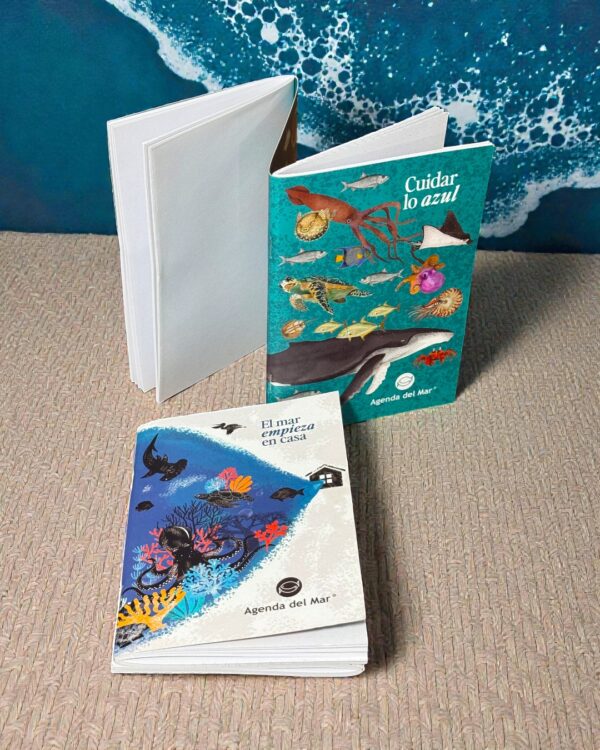 1080x1350 (5) Kit de 2 libretas en Z
