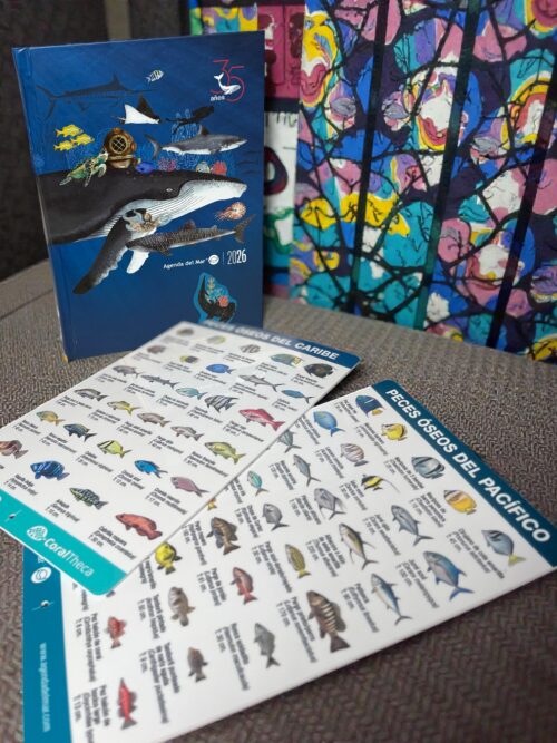 Kit Agenda + Tabla de peces
