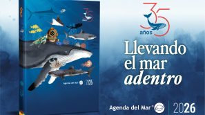 ADM 2026